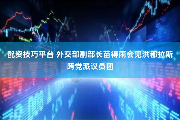 配资技巧平台 外交部副部长苗得雨会见洪都拉斯跨党派议员团