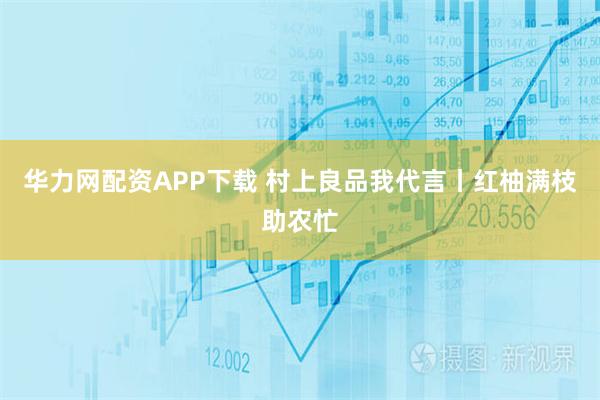 华力网配资APP下载 村上良品我代言丨红柚满枝助农忙